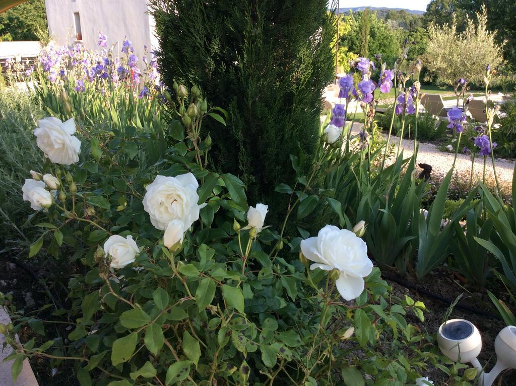 Chez Odile B&B Saint Didier  Zewnętrze zdjęcie