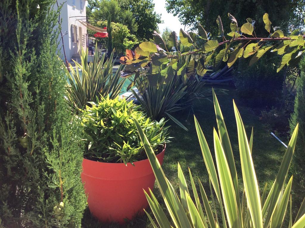 Chez Odile B&B Saint Didier  Zewnętrze zdjęcie